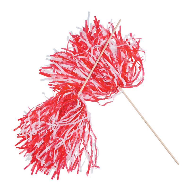 Spirit Pom-Poms Main Image